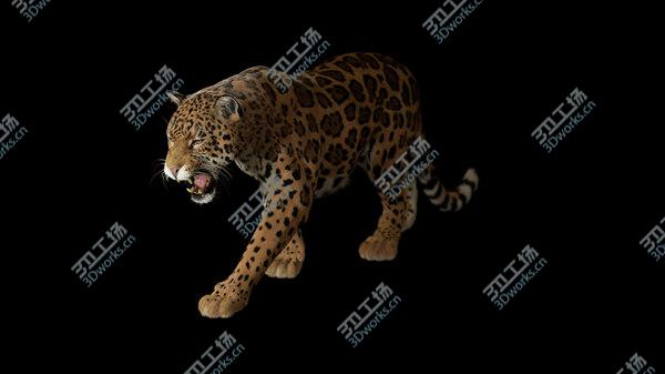 images/goods_img/20210312/3D Jaguar FUR RIGGED/5.jpg